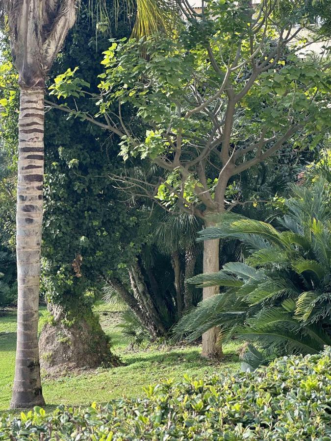 Apartamento Situe Dans La Gallia Historique Cannes